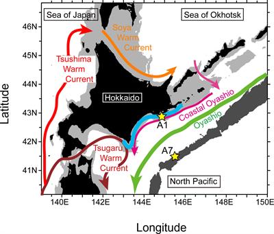 Controlling factors of large-scale harmful algal blooms with Karenia selliformis after record-breaking marine heatwaves